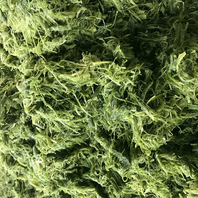 Bagaimana daun asin rumput laut mempengaruhi keseimbangan hormonal?